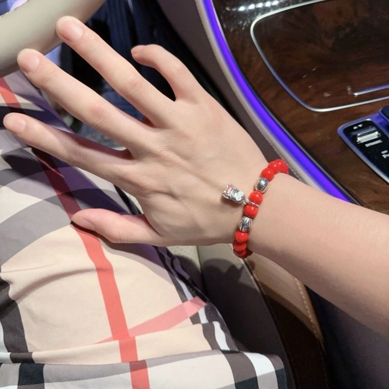 TravelReady Christian Dior Bracelets 235630