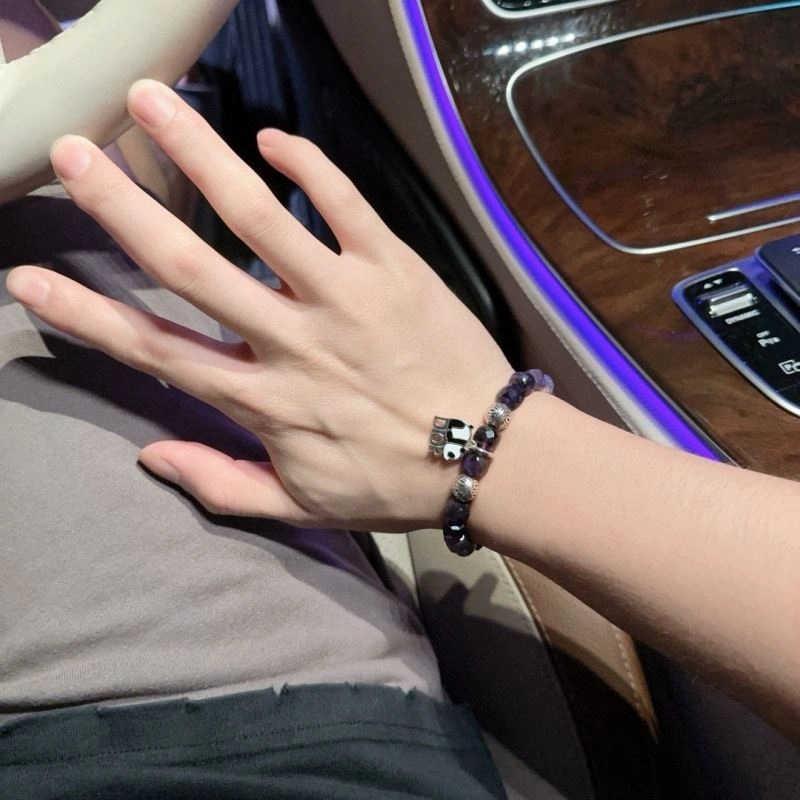 TravelReady Christian Dior Bracelets 235389