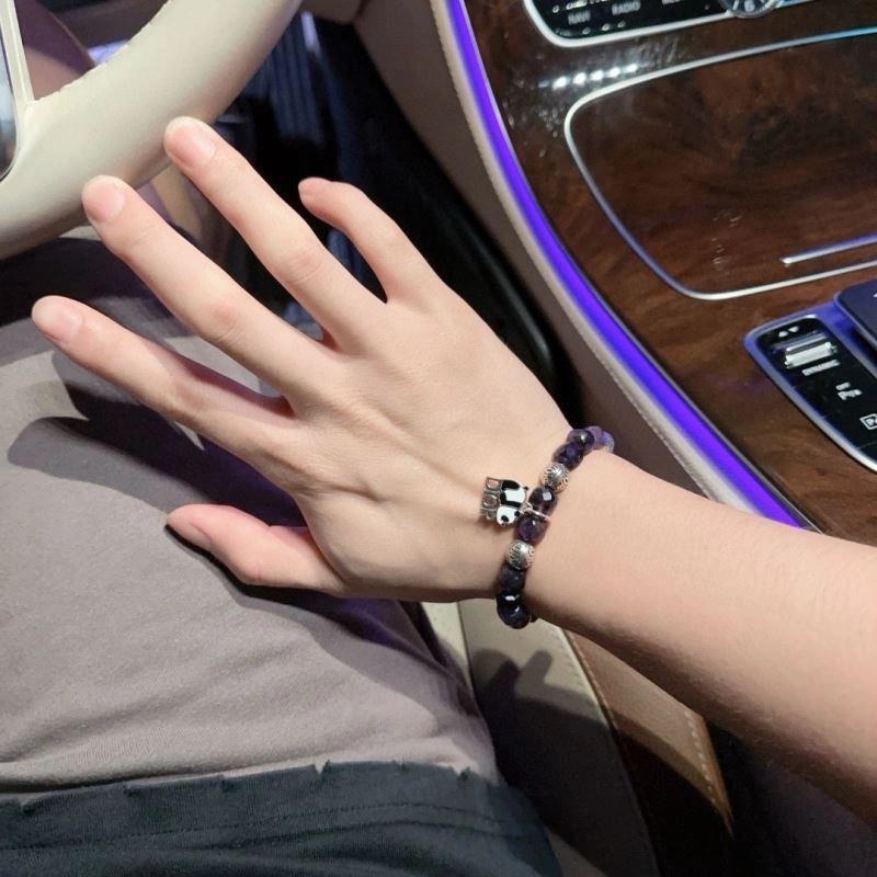 TravelReady Christian Dior Bracelets 235389