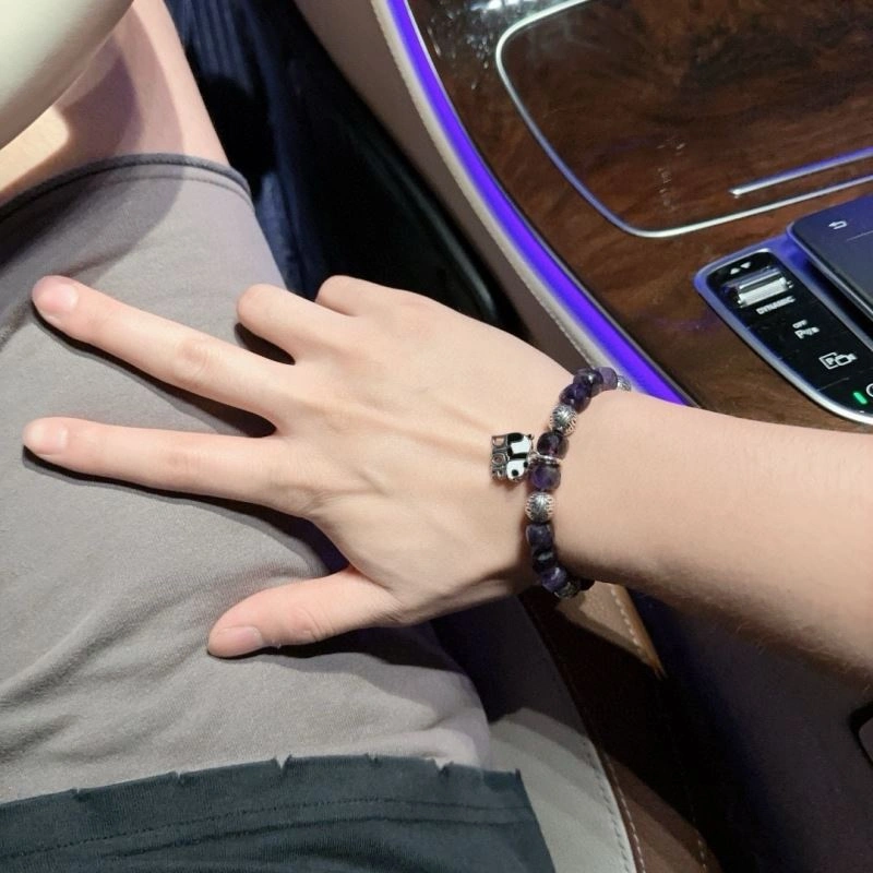TravelReady Christian Dior Bracelets 235389