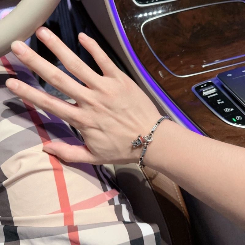 QuickDry Christian Dior Bracelets 235122
