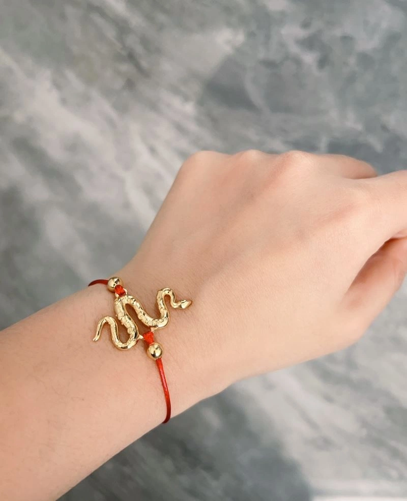 Christian Dior Bracelets HighPerformance 234614