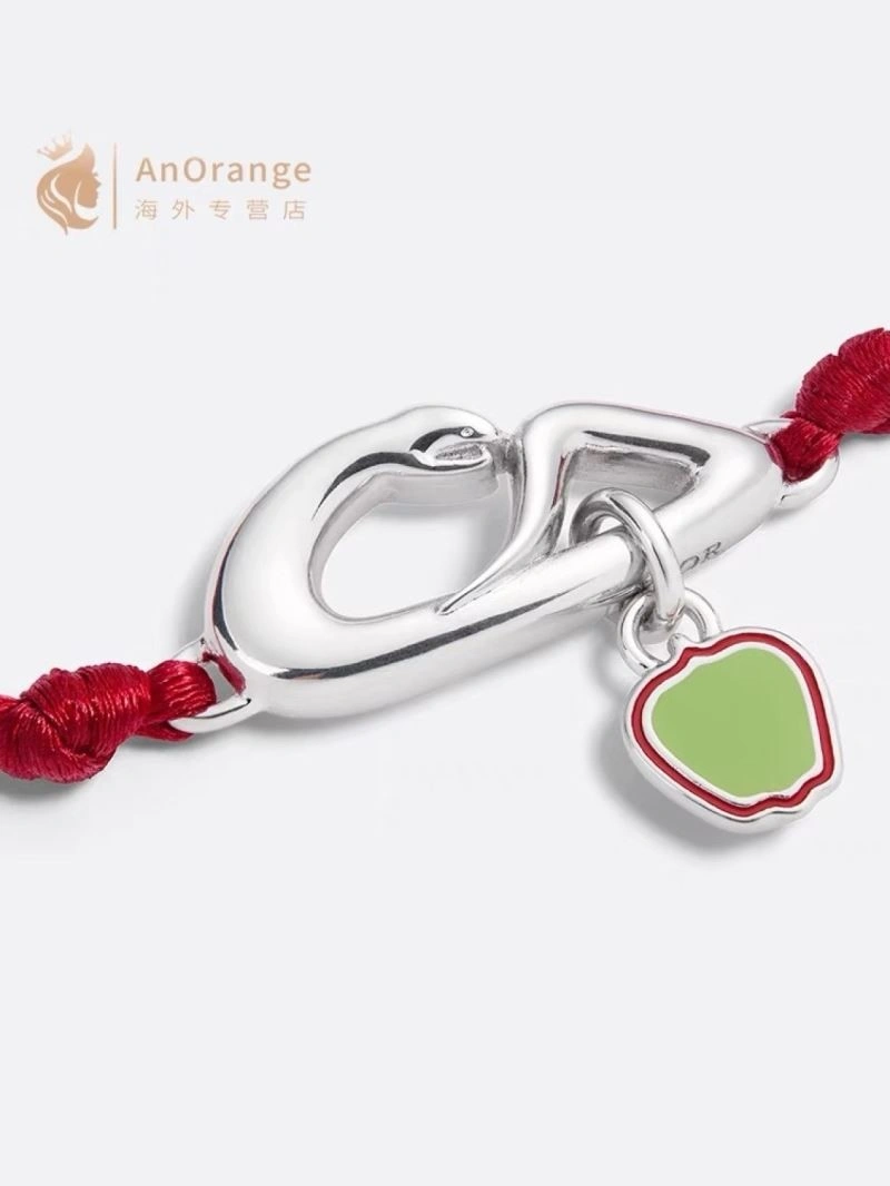 Vibrant Christian Dior Bracelets 233295