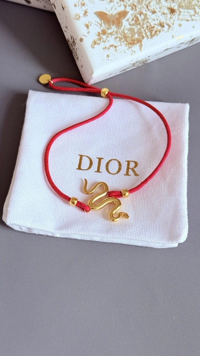 WaterResistant Christian Dior Bracelets 233264
