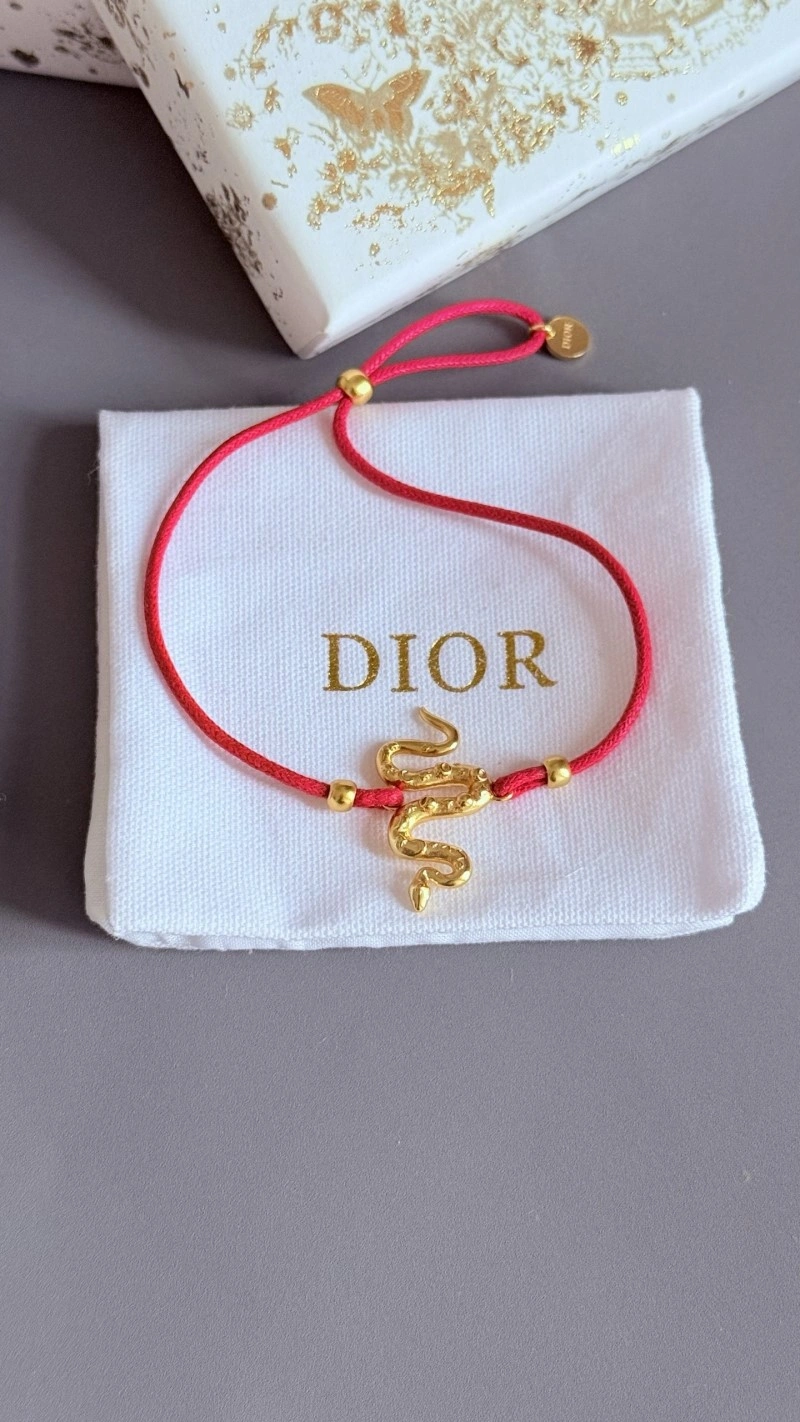 WaterResistant Christian Dior Bracelets 233264