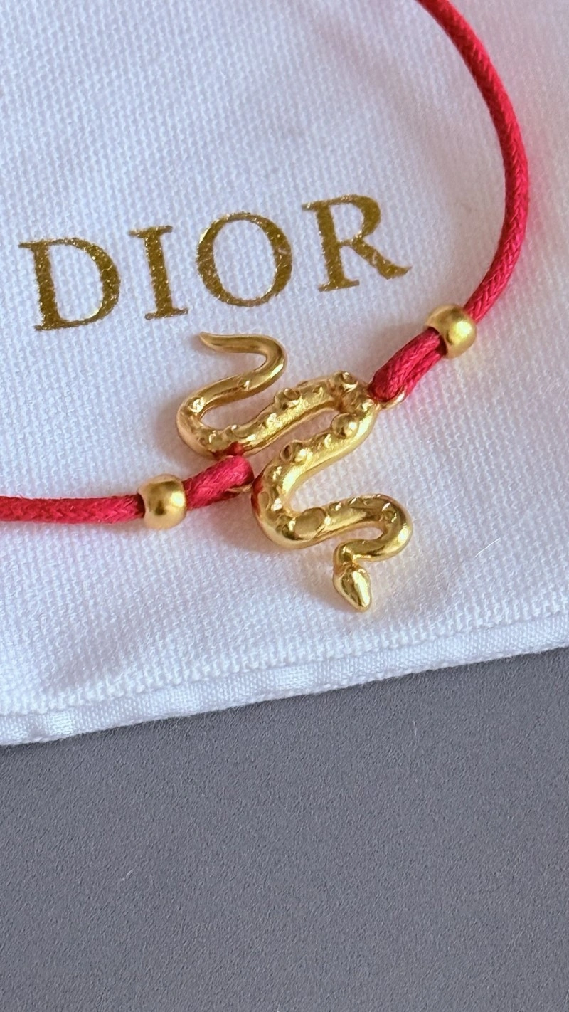 WaterResistant Christian Dior Bracelets 233264