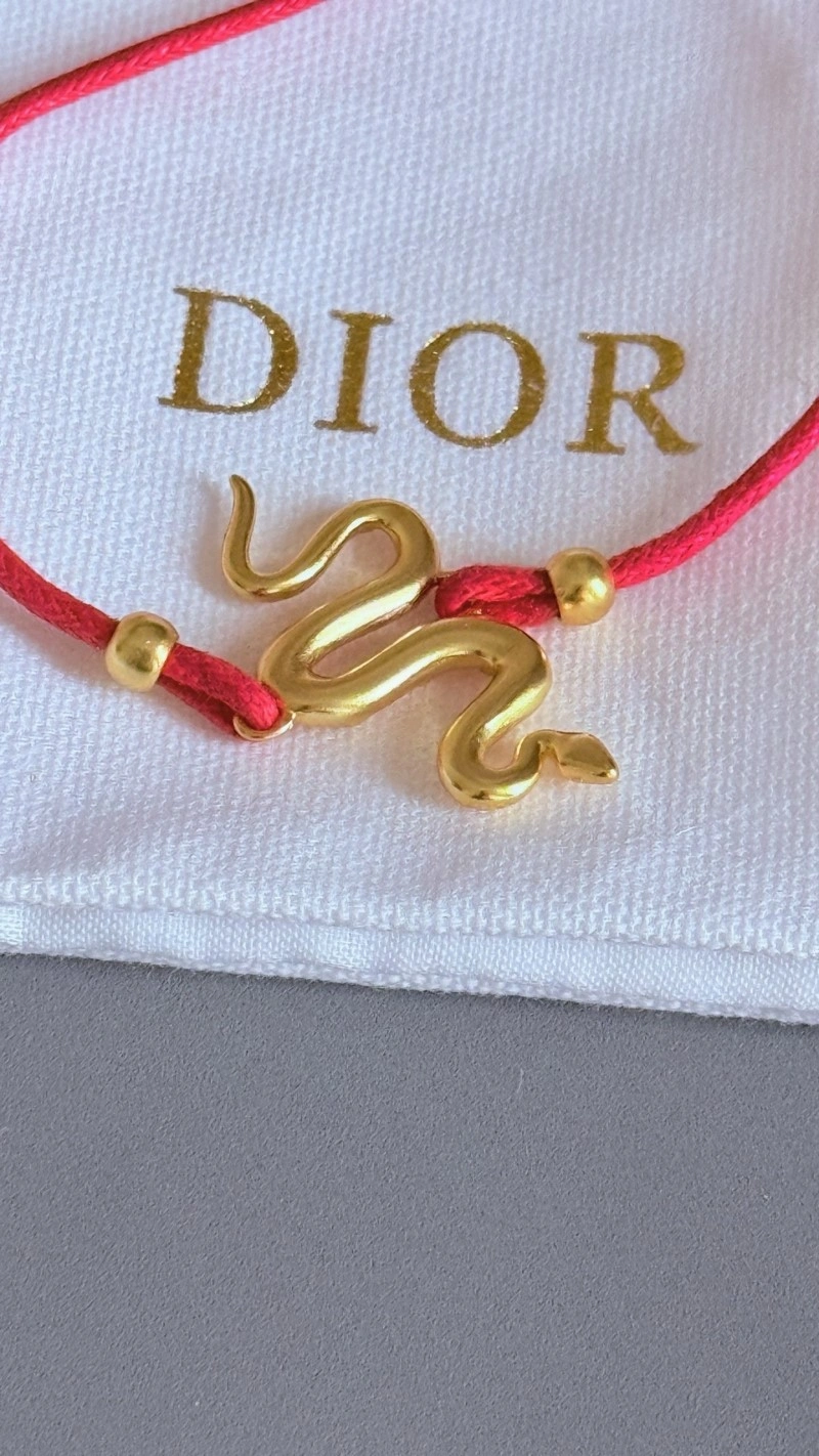 WaterResistant Christian Dior Bracelets 233264