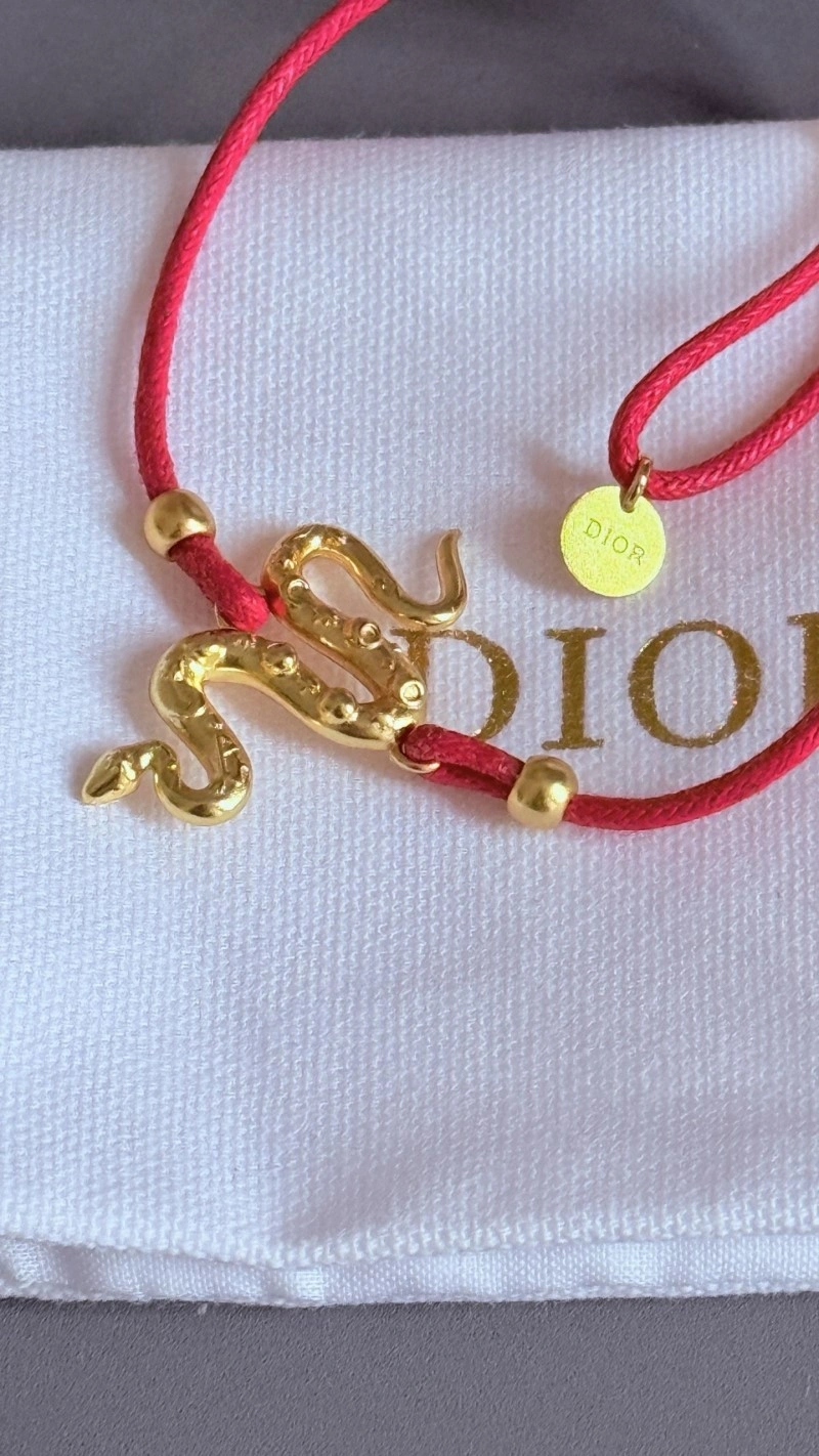 WaterResistant Christian Dior Bracelets 233264