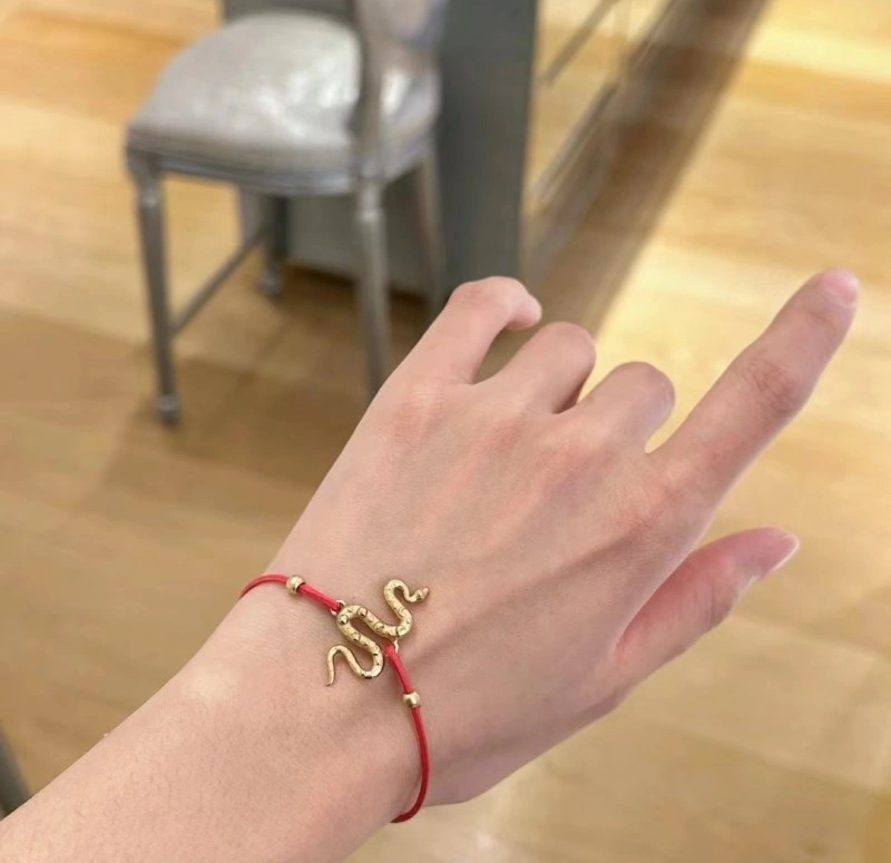 WaterResistant Christian Dior Bracelets 233264