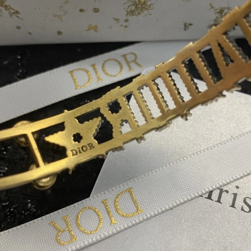 Stylish Christian Dior Bracelets 233018