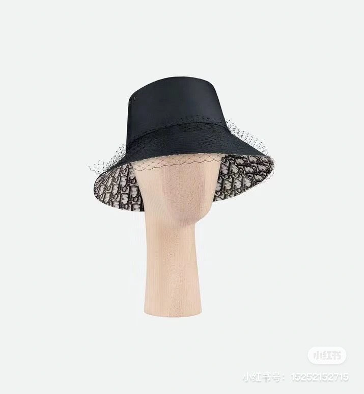 Christian Dior Caps DailyWear 259195