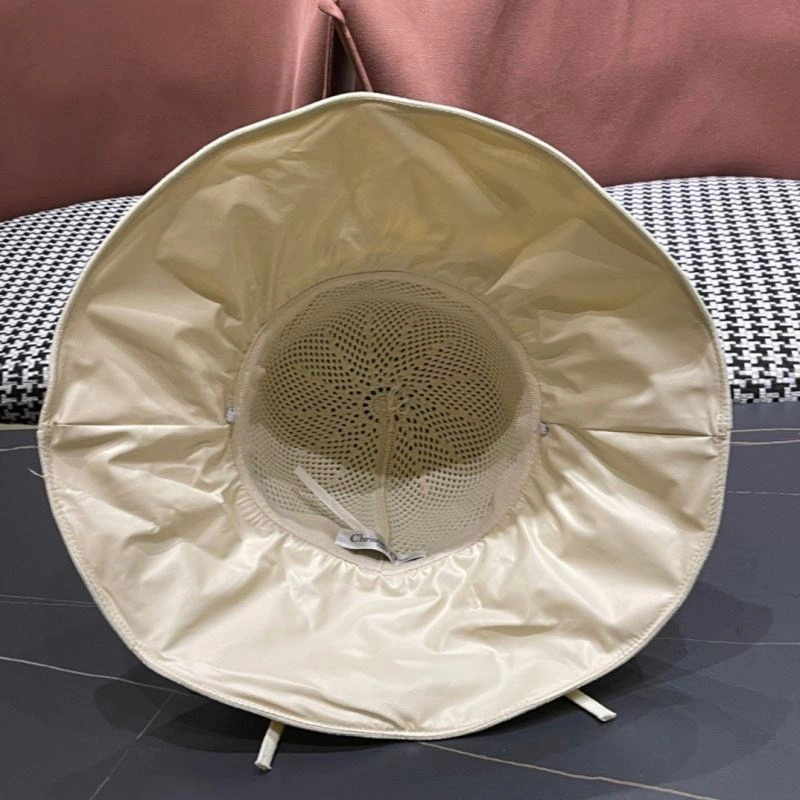 Neat Christian Dior Caps 262186