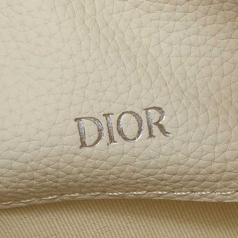 Efficient Christian Dior Clutch Bags 46480