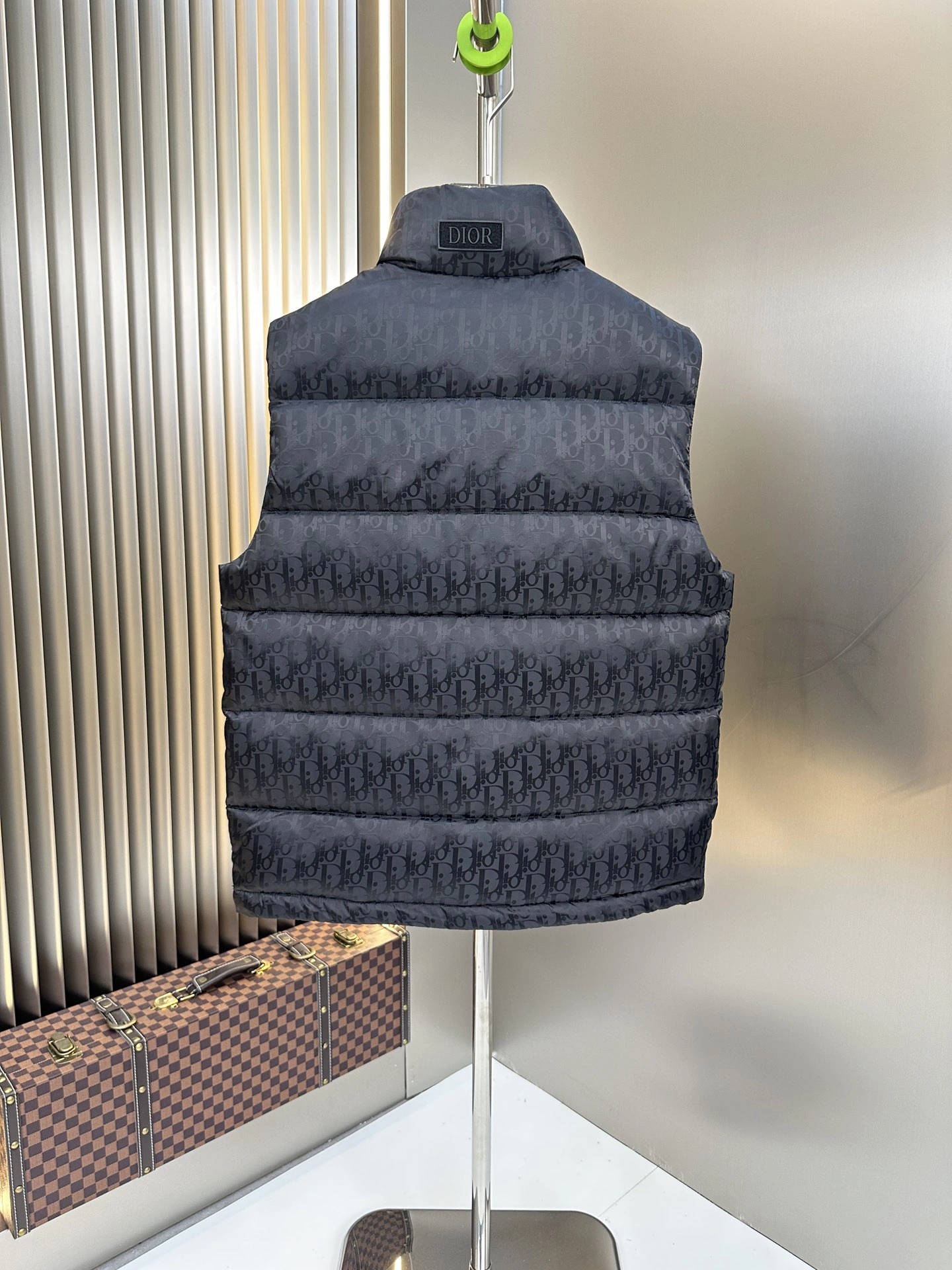 Christian Dior Down Jackets Trendy 118011