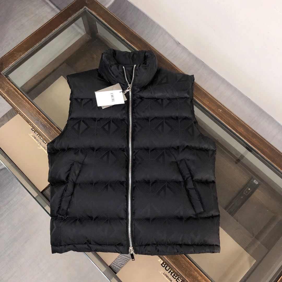 Christian Dior Down Jackets Tailored 118016