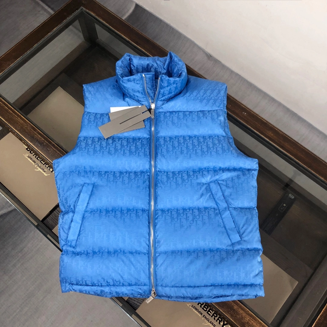 Christian Dior Down Jackets WrinkleFree 117998