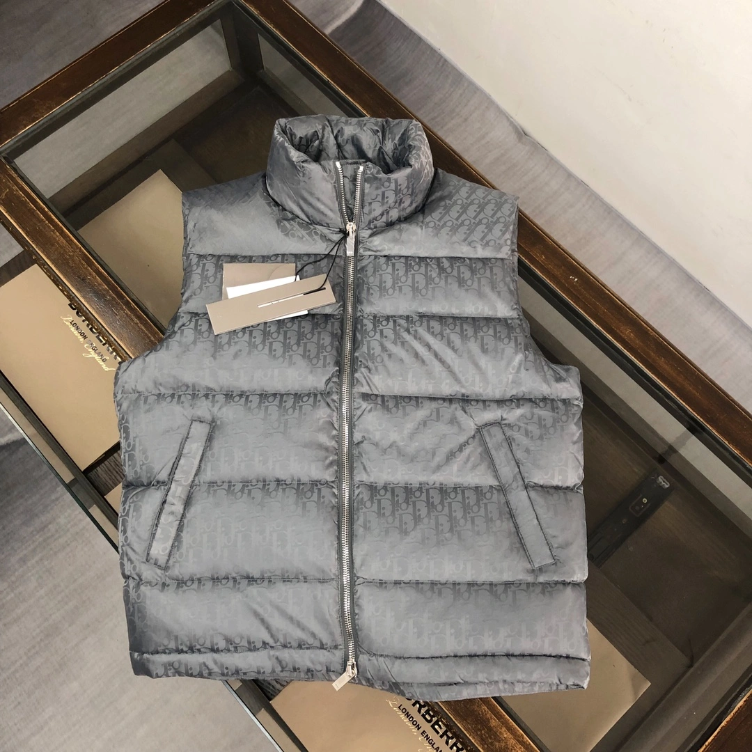 Christian Dior Down Jackets Trendsetting 117996