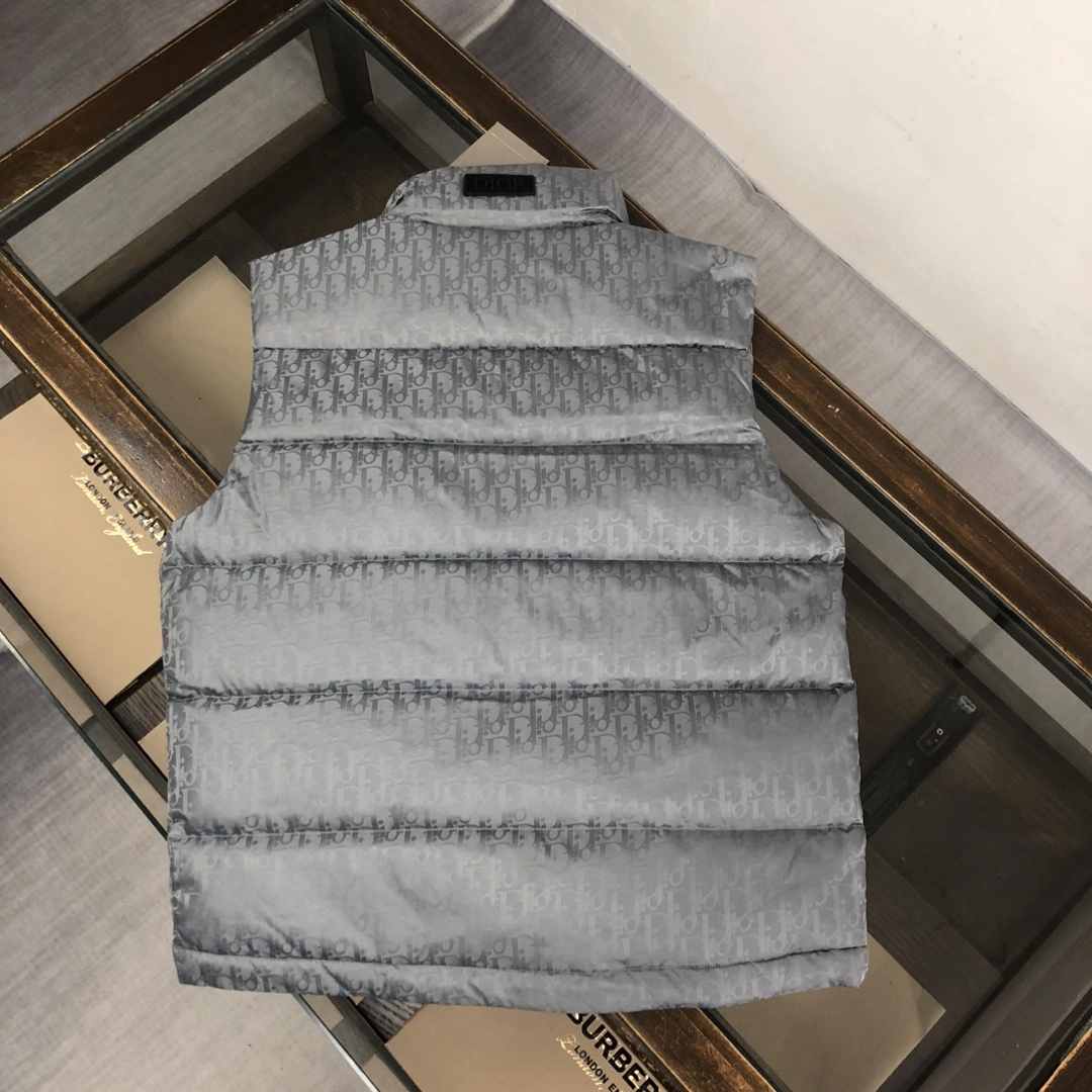 Christian Dior Down Jackets Trendsetting 117996