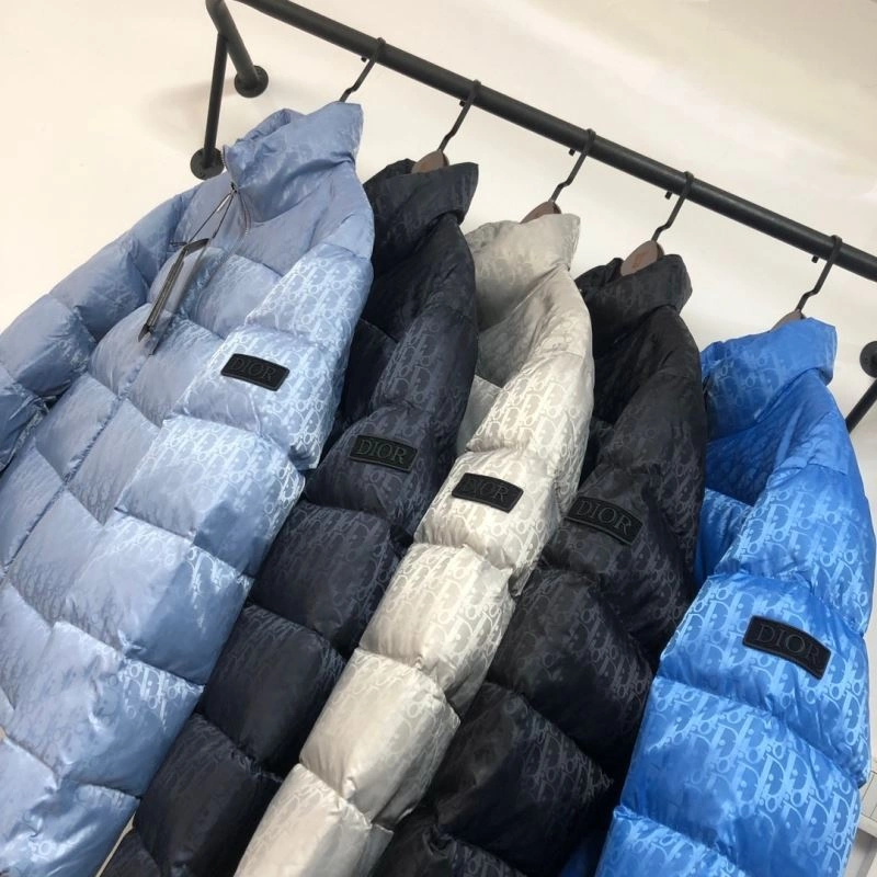 Christian Dior Down Jackets FastDry 117959