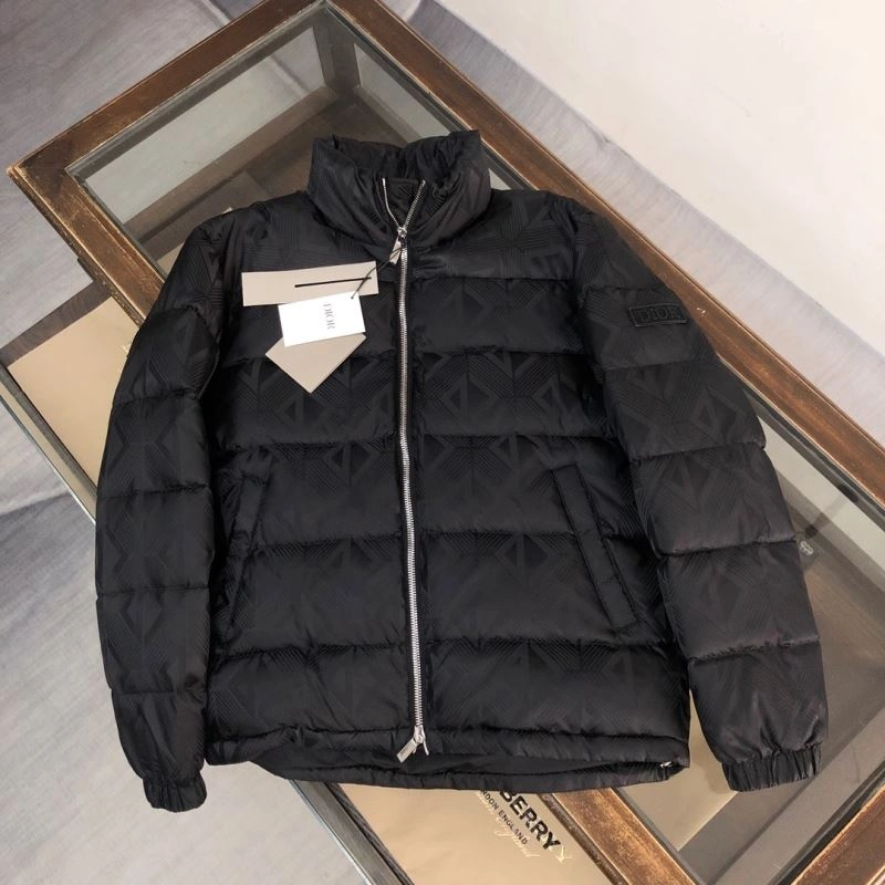 GoAnywhere Christian Dior Down Jackets 117975
