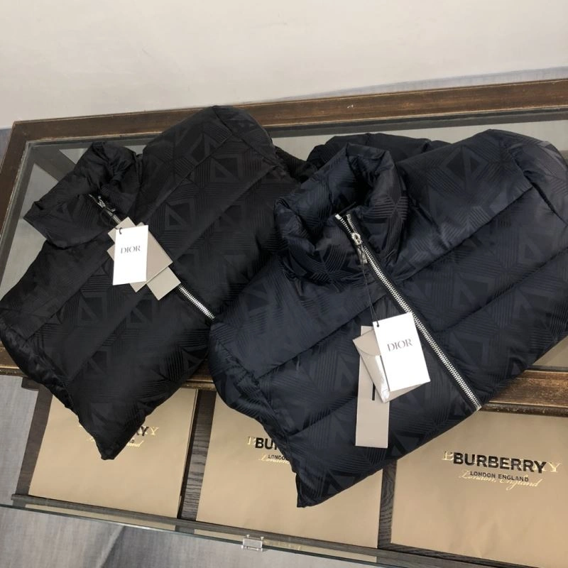GoAnywhere Christian Dior Down Jackets 117975
