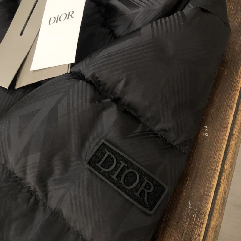 GoAnywhere Christian Dior Down Jackets 117975