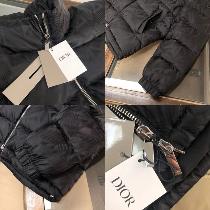 GoAnywhere Christian Dior Down Jackets 117975