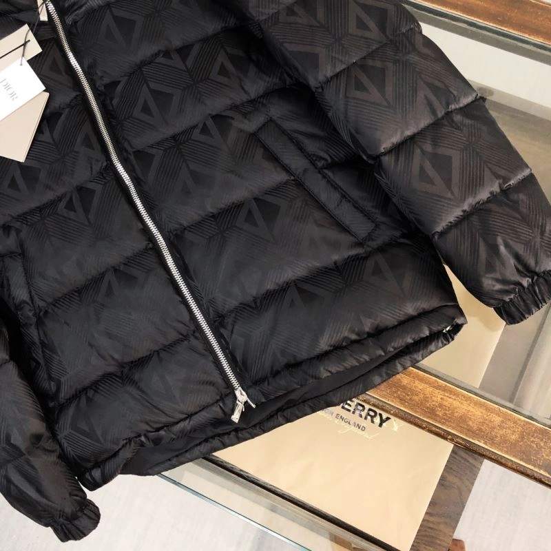 GoAnywhere Christian Dior Down Jackets 117975