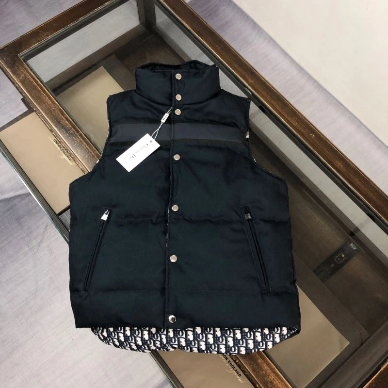 ModernLook Christian Dior Down Jackets 117941