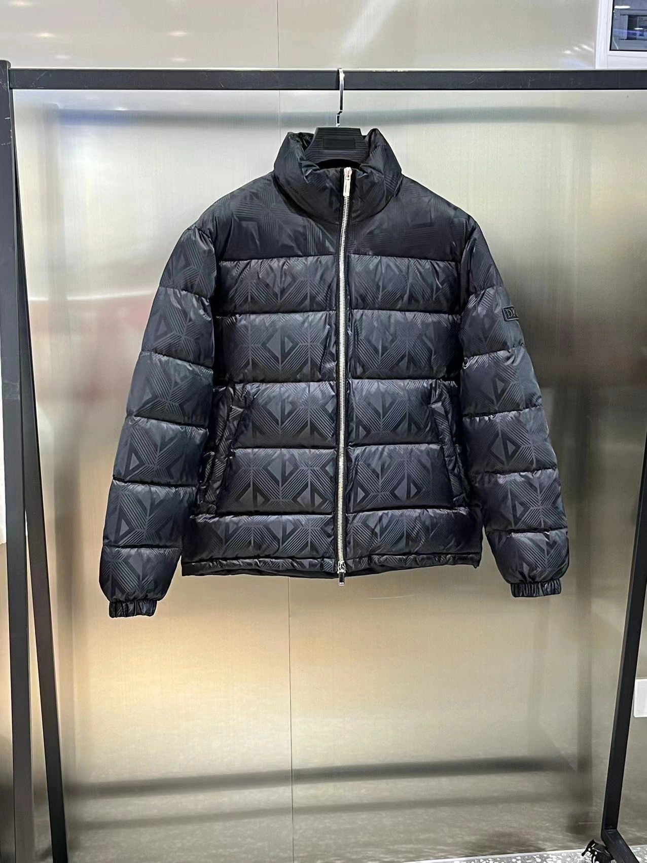Christian Dior Down Jackets QuickDry 118017