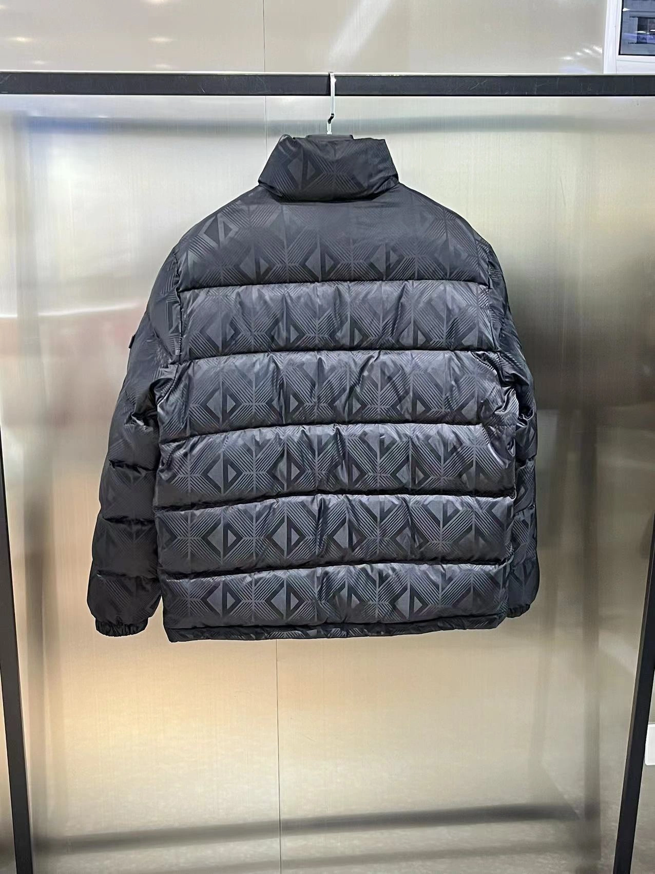 Christian Dior Down Jackets QuickDry 118017