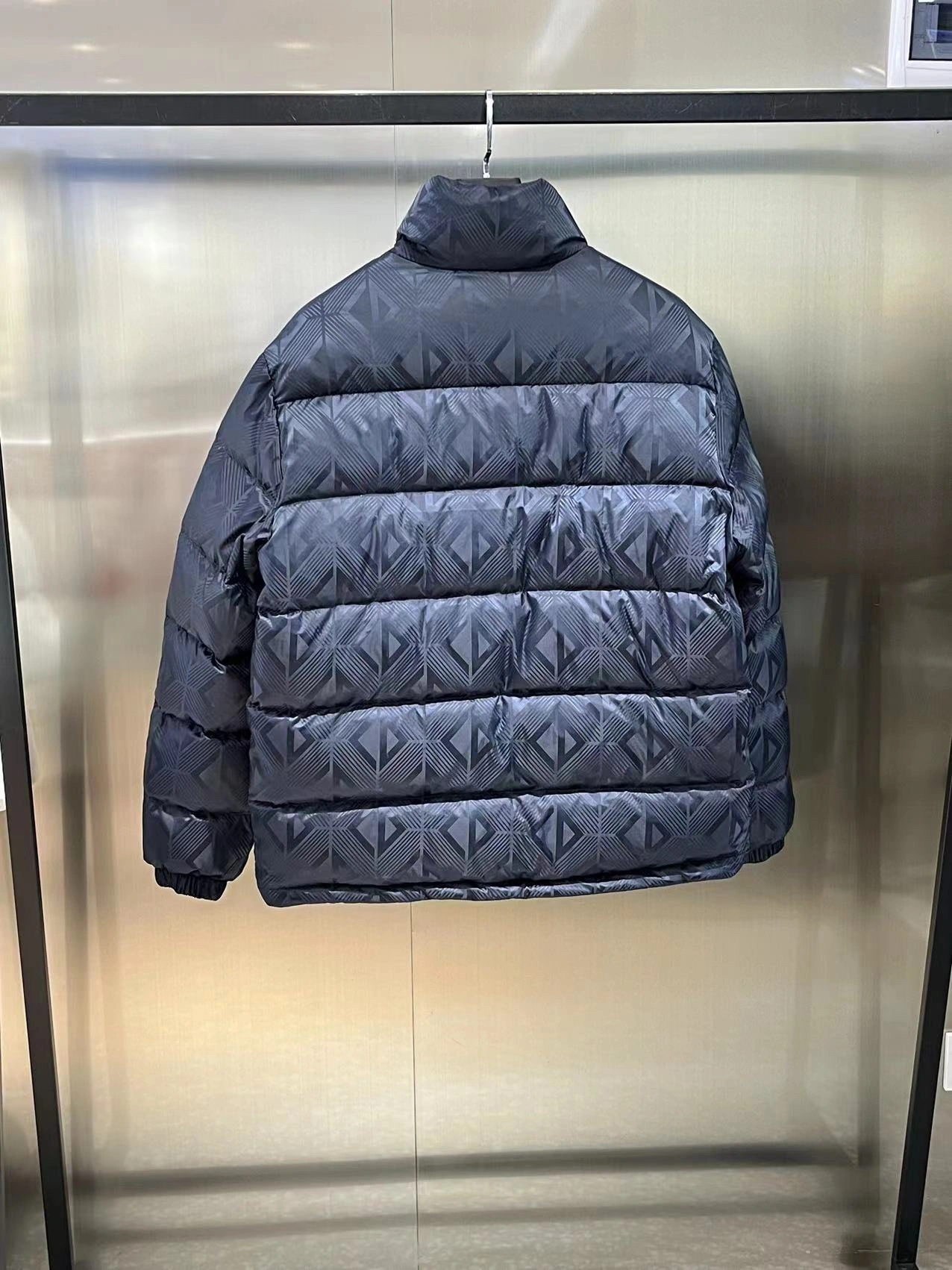 ZipUp Christian Dior Down Jackets 118007