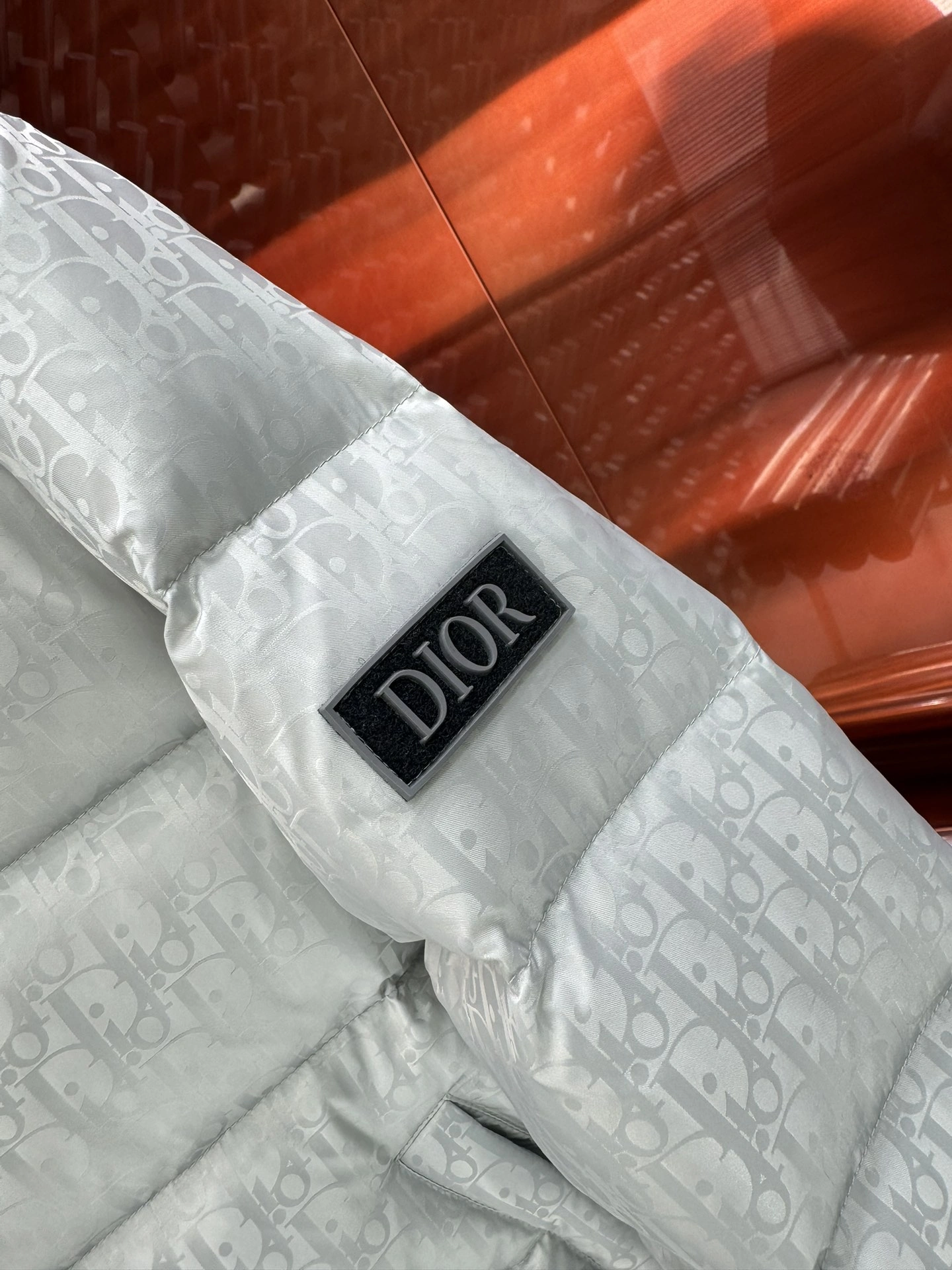 Christian Dior Down Jackets Casual 117985