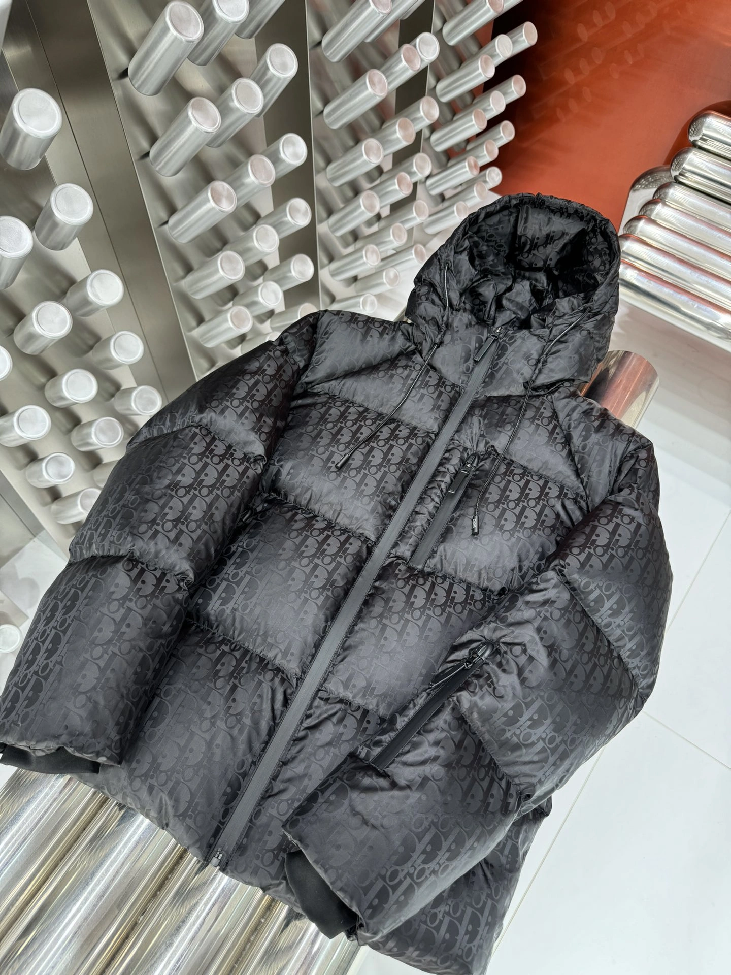 Christian Dior Down Jackets WrinkleFree 117981