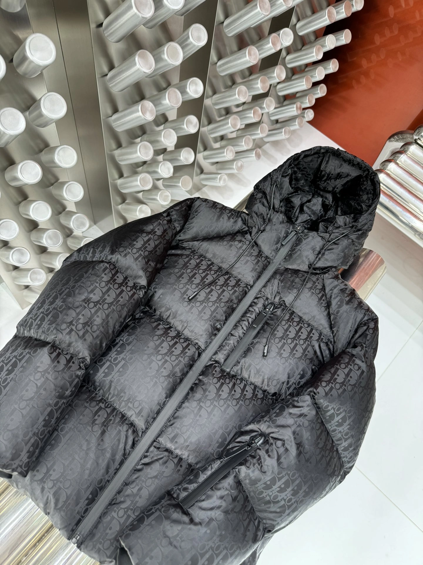 Christian Dior Down Jackets WrinkleFree 117981