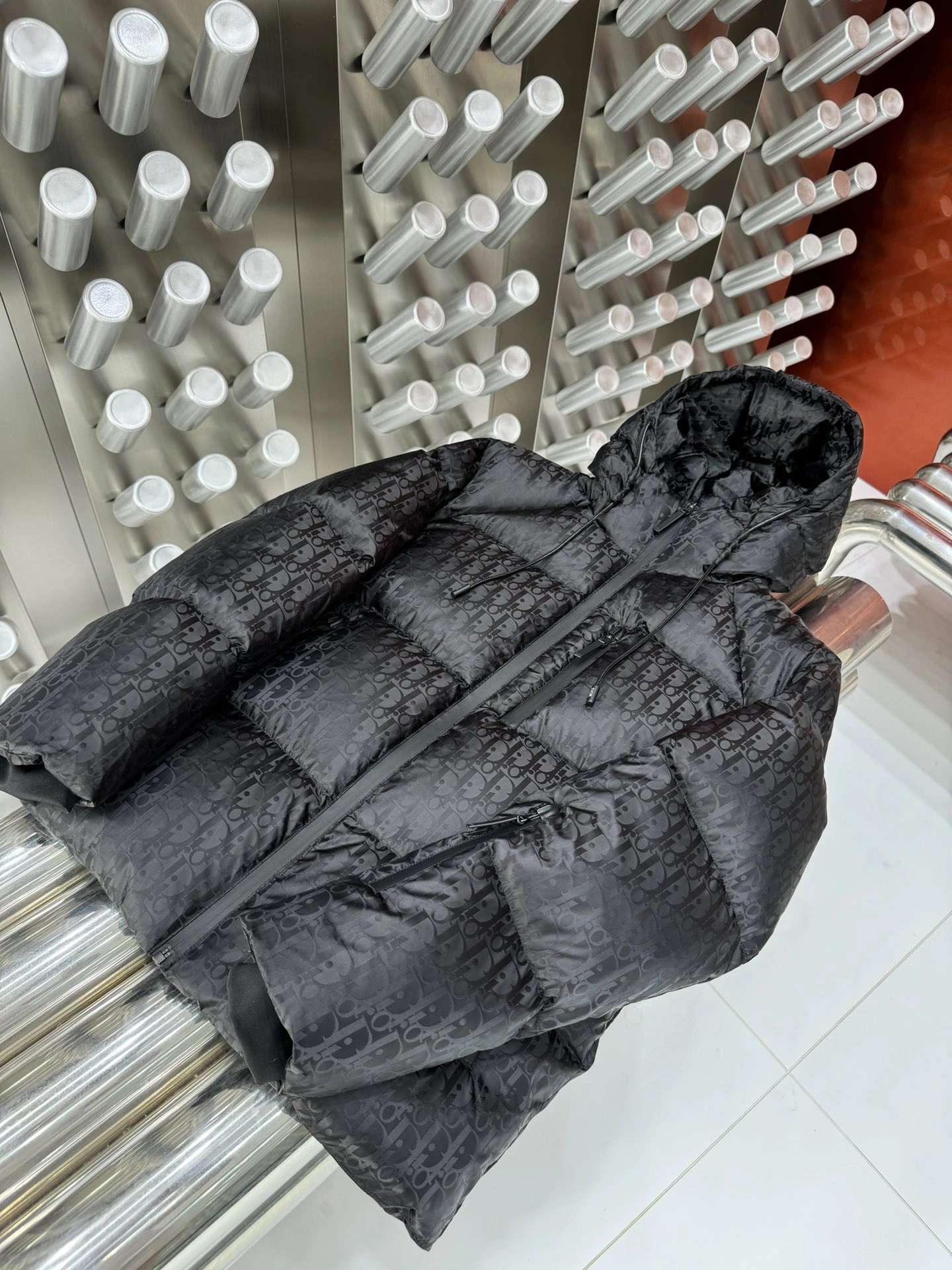Christian Dior Down Jackets WrinkleFree 117981