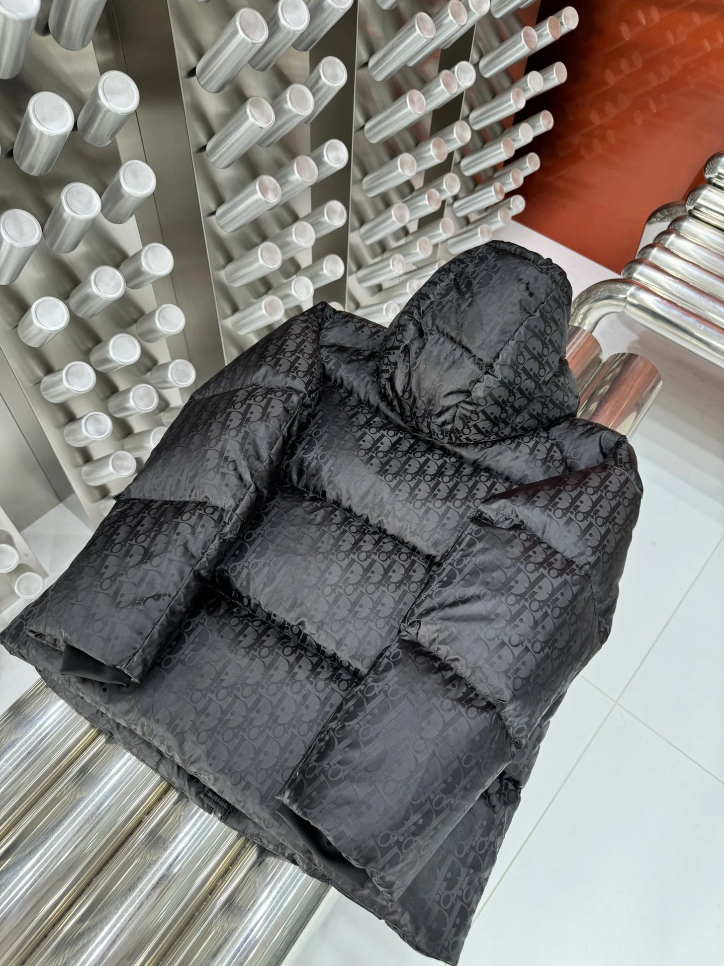 Christian Dior Down Jackets WrinkleFree 117981