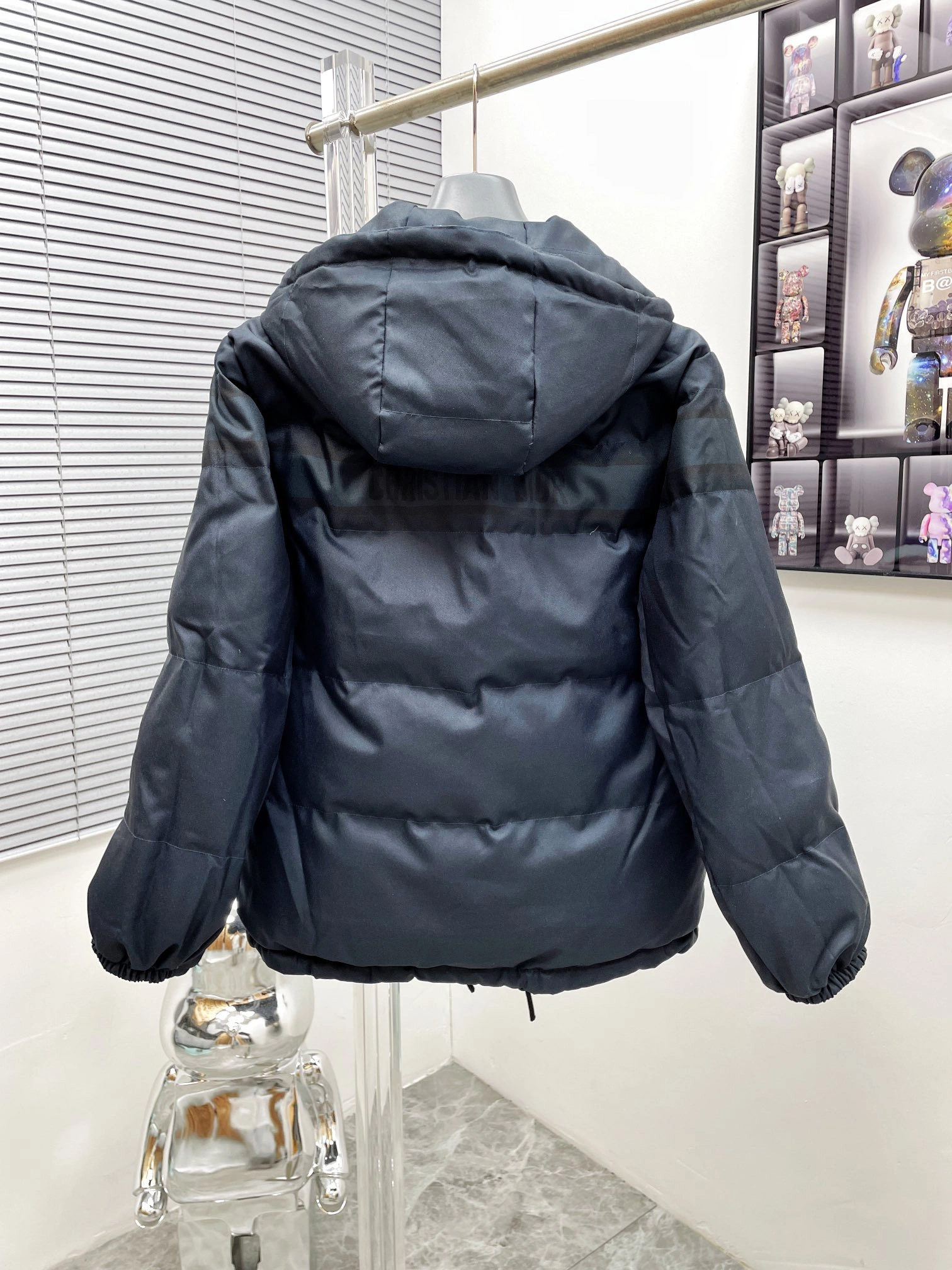 FreshLook Christian Dior Down Jackets 117967