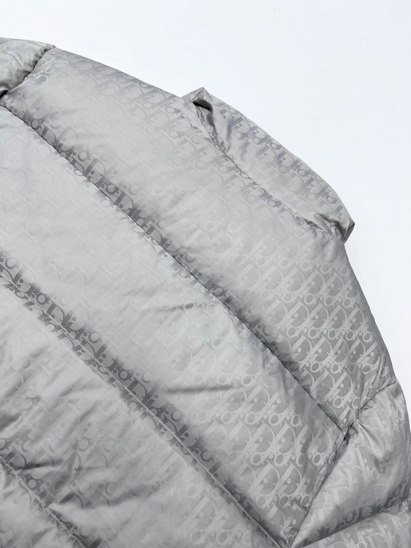 SoftTouch Christian Dior Down Jackets 117955