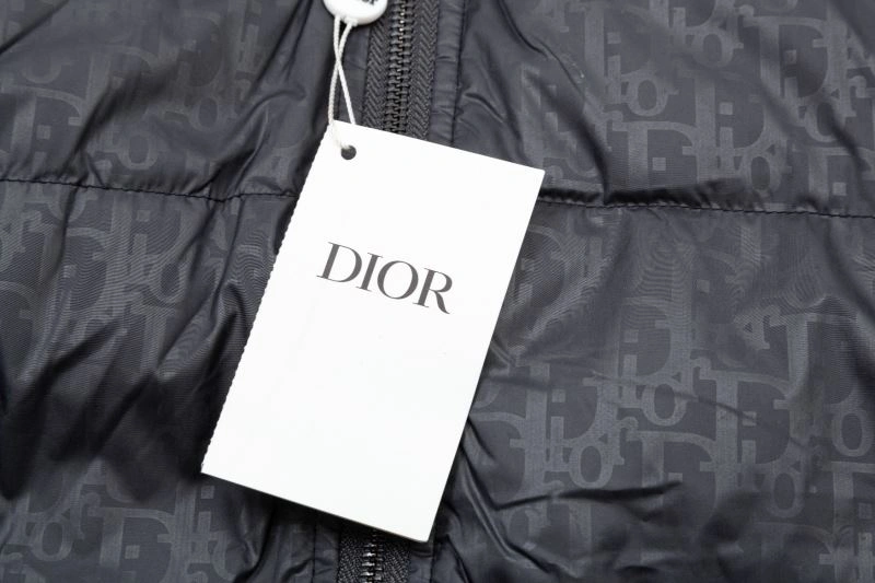 TechFriendly Christian Dior Down Jackets 117870