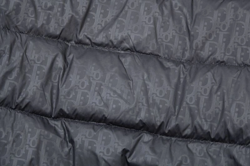 TechFriendly Christian Dior Down Jackets 117870