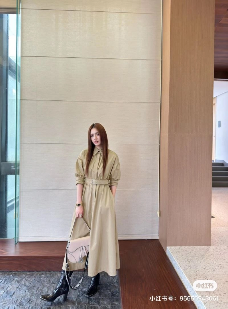 Christian Dior Dress GoAnywhere 117619