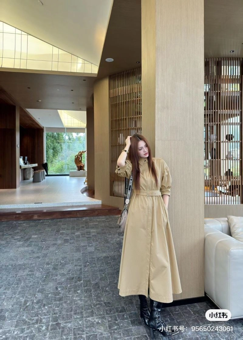 Christian Dior Dress GoAnywhere 117619