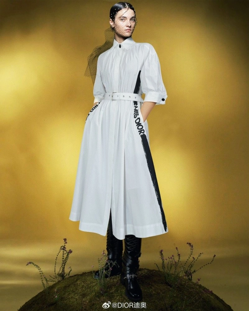 Elegant Christian Dior Dress 113409