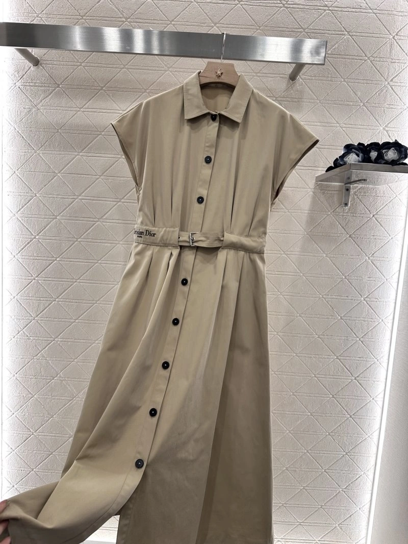 GoAnywhere Christian Dior Dress 113101