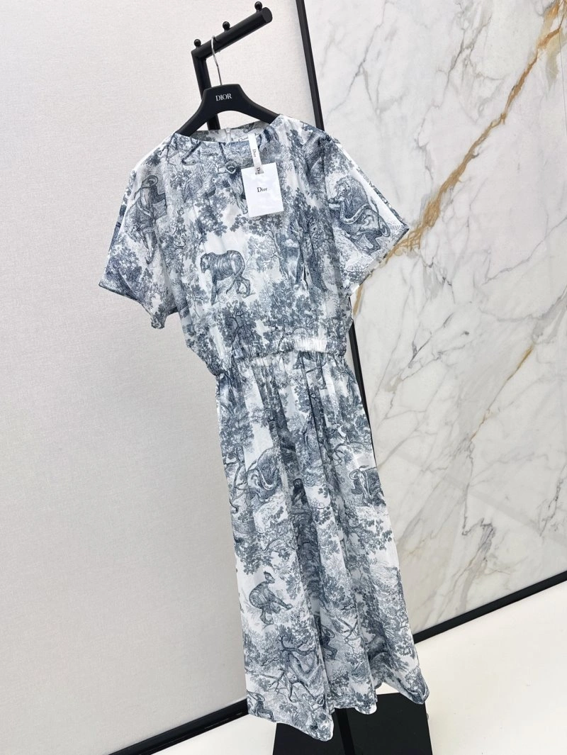 Christian Dior Dress Resilient 112453