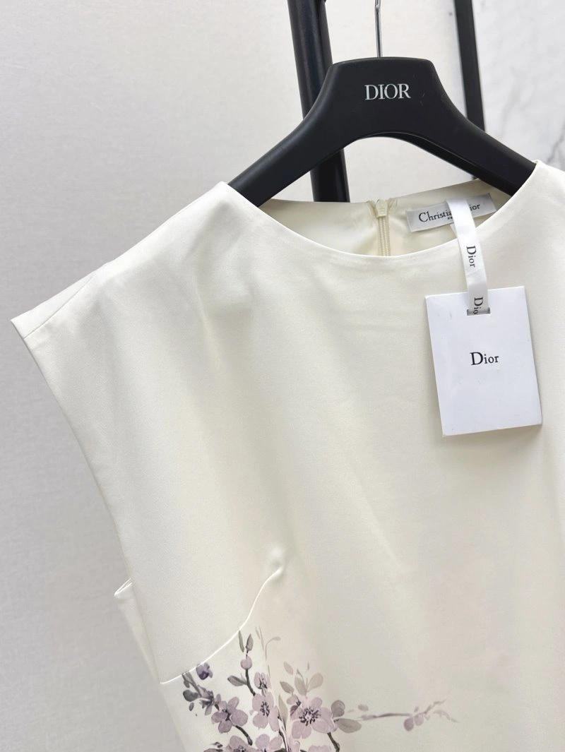 DailyWear Christian Dior Dress 112417