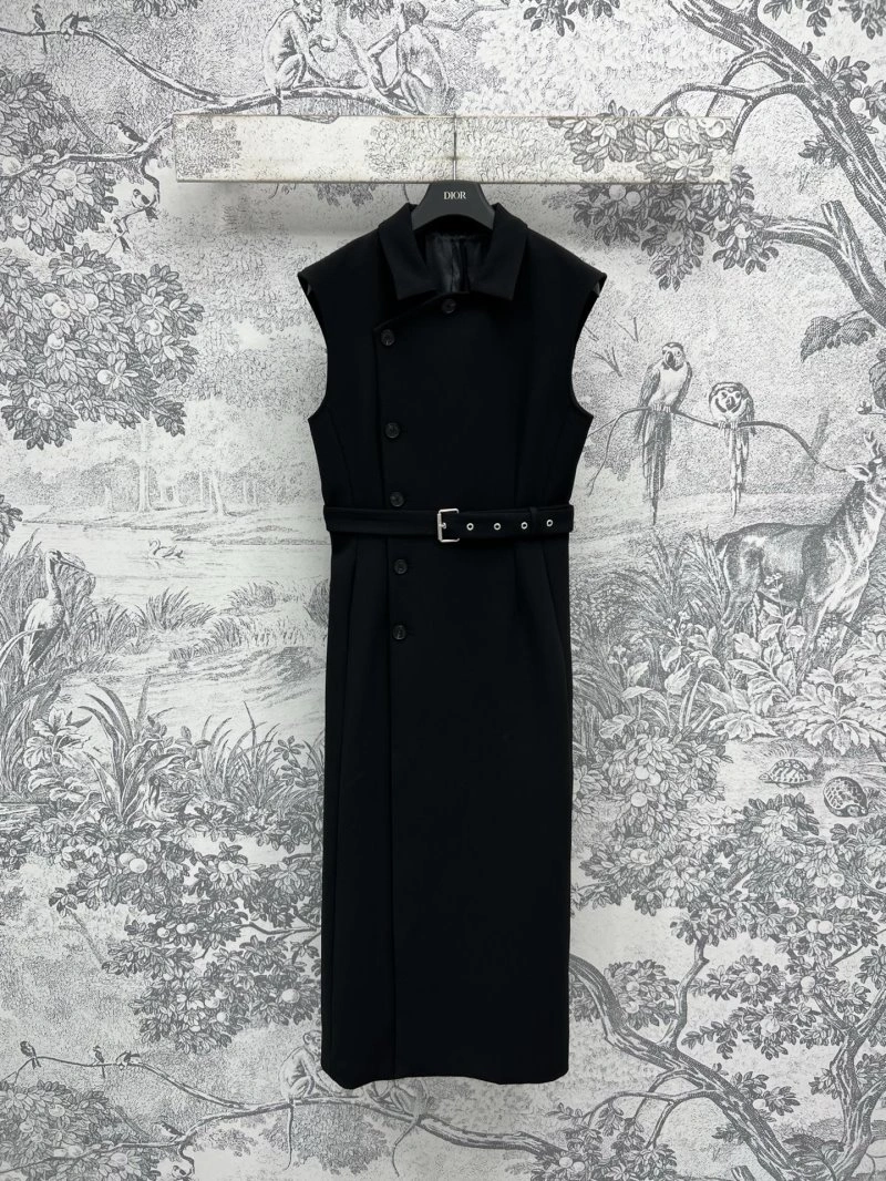 Christian Dior Dress Trendsetting 112323