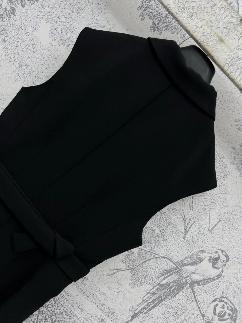 Christian Dior Dress Trendsetting 112323