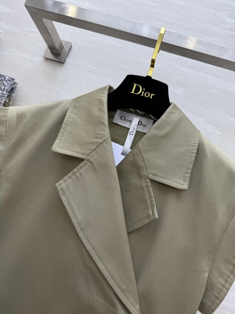 SmoothTexture Christian Dior Dress 113974